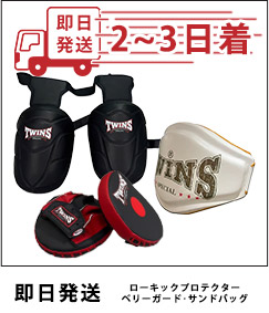 TWINSJAPAN即日発送ローキックサンドバック