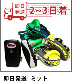 TWINSJAPAN即日発送ミット