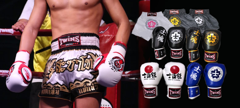 TWINS JAPANグローブ・ミット等ボクシング用品の通販サイト